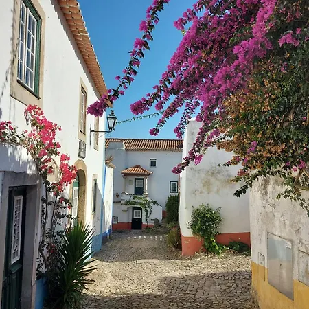 Casa Botanica *