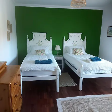Casa Botanica *