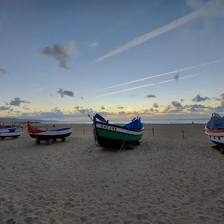 Casa Botanica Villa *