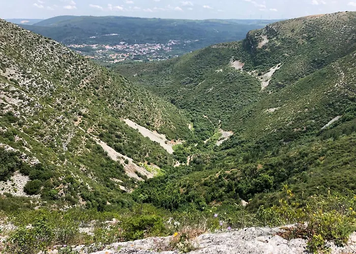 Casa Botanica * Vestiaria